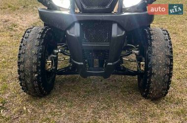 Квадроцикл  утилитарный Shineray XY 2020 в Каневе
