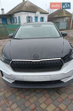 Внедорожник / Кроссовер Skoda Enyaq iV 2021 в Золотоноше