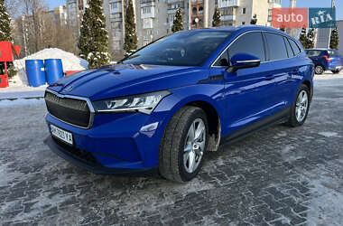 Позашляховик / Кросовер Skoda Enyaq iV 2021 в Житомирі