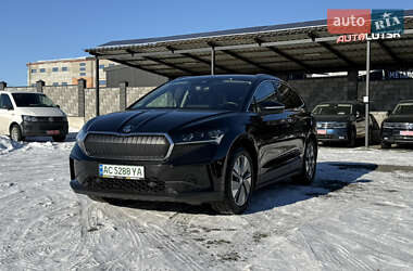 Позашляховик / Кросовер Skoda Enyaq iV 2021 в Луцьку