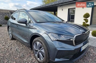 Внедорожник / Кроссовер Skoda Enyaq iV 2021 в Радивилове