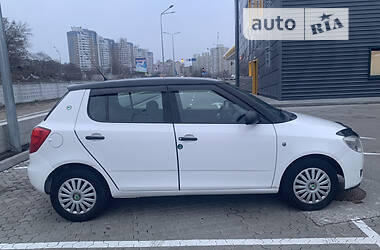 Хэтчбек Skoda Fabia 2009 в Киеве