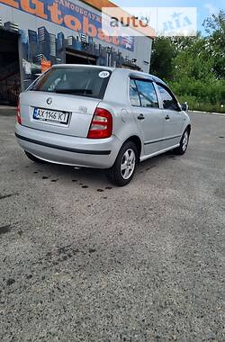 Хэтчбек Skoda Fabia 2001 в Днепре