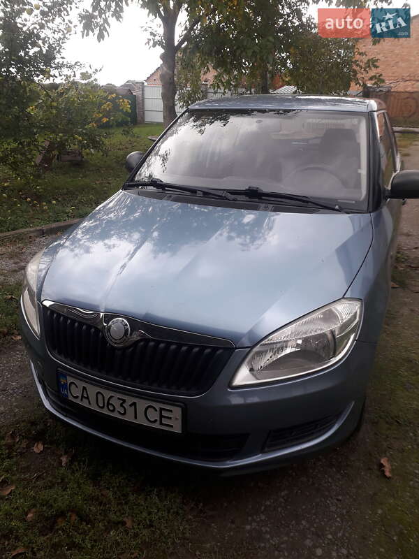 Хэтчбек Skoda Fabia 2010 в Христиновке