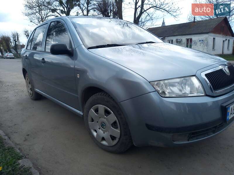 Хетчбек Skoda Fabia 2004 в Летичіві