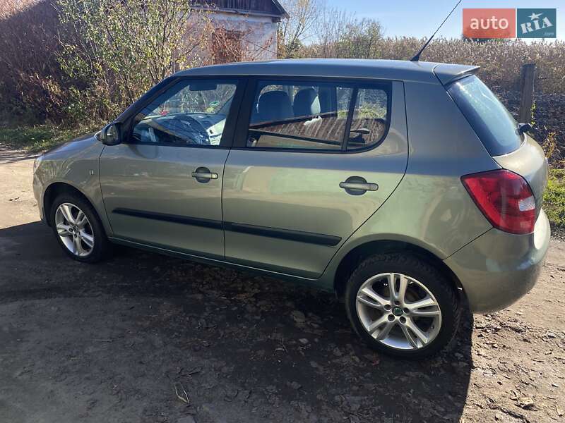 Хэтчбек Skoda Fabia 2010 в Кривом Озере
