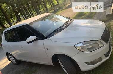 Хэтчбек Skoda Fabia 2010 в Житомире