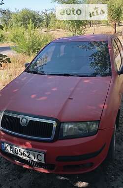 Хетчбек Skoda Fabia 2005 в Кривому Розі