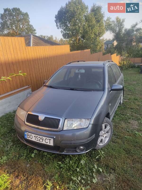 Универсал Skoda Fabia 2005 в 