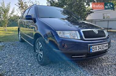 Універсал Skoda Fabia 2003 в Вишгороді