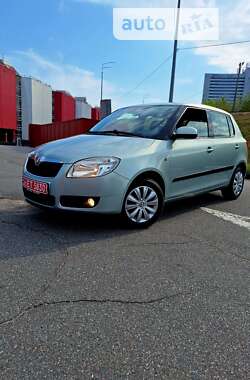 Хэтчбек Skoda Fabia 2009 в Киеве