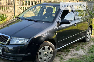 Хэтчбек Skoda Fabia 2004 в Лубнах