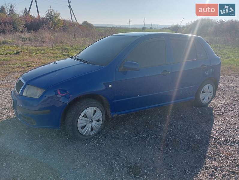 Хетчбек Skoda Fabia 2004 в Тлумачі