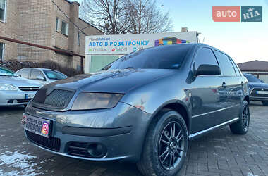 Хетчбек Skoda Fabia 2007 в Кривому Розі