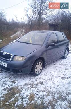 Хетчбек Skoda Fabia 2006 в Горішніх Плавнях