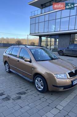 Універсал Skoda Fabia 2001 в Ужгороді