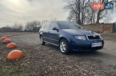 Универсал Skoda Fabia 2006 в Ромнах