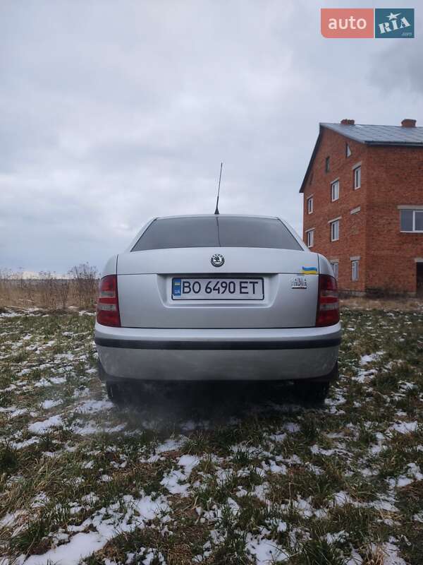 Седан Skoda Fabia 2004 в Бережанах