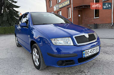 Хэтчбек Skoda Fabia 2007 в 