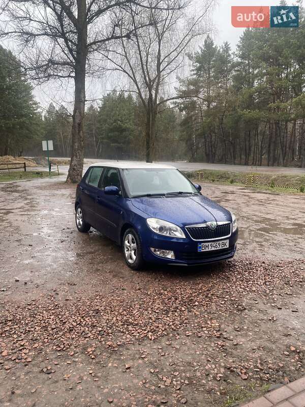 Хэтчбек Skoda Fabia 2010 в Конотопе