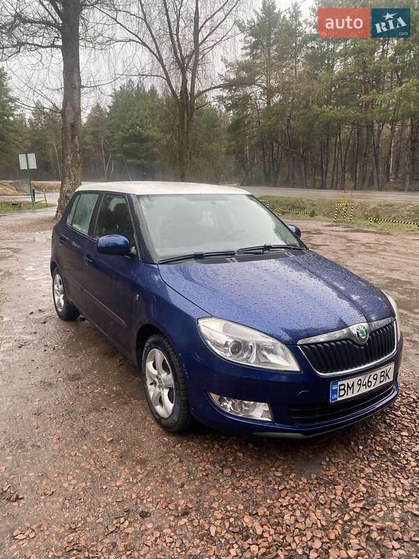 Хэтчбек Skoda Fabia 2010 в Конотопе