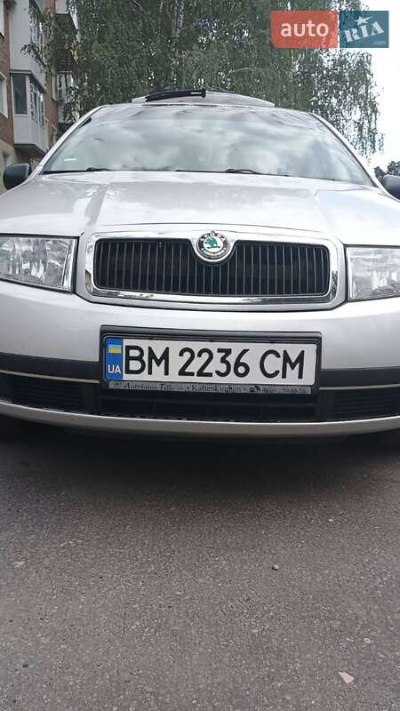 Універсал Skoda Fabia 2003 в Охтирці
