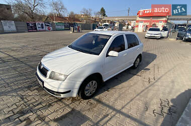 Хэтчбек Skoda Fabia 2001 в Кривом Роге