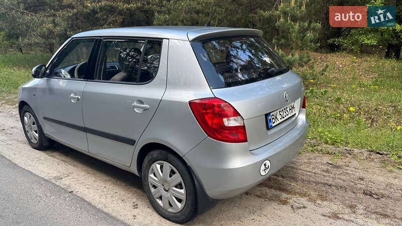 Хэтчбек Skoda Fabia 2009 в Нетешине