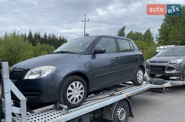 Хэтчбек Skoda Fabia 2009 в Звягеле