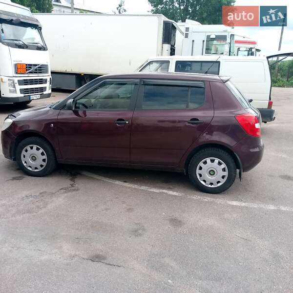 Хэтчбек Skoda Fabia 2010 в Житомире