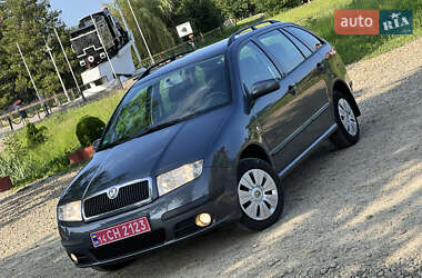 Універсал Skoda Fabia 2007 в Долині