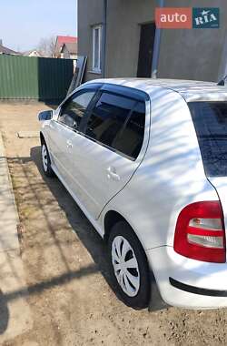 Хэтчбек Skoda Fabia 2002 в Бородянке