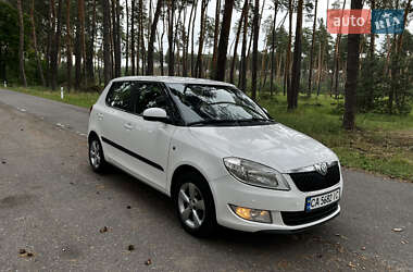 Хэтчбек Skoda Fabia 2011 в Александровке