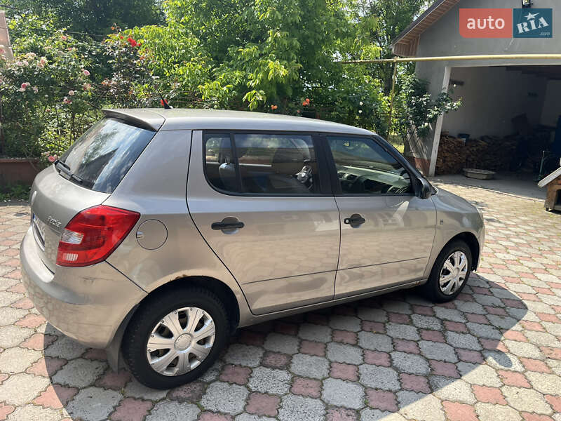 Хетчбек Skoda Fabia 2009 в Хусті