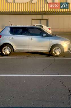 Хэтчбек Skoda Fabia 2009 в 