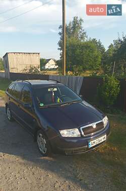 Универсал Skoda Fabia 2004 в Пулинах