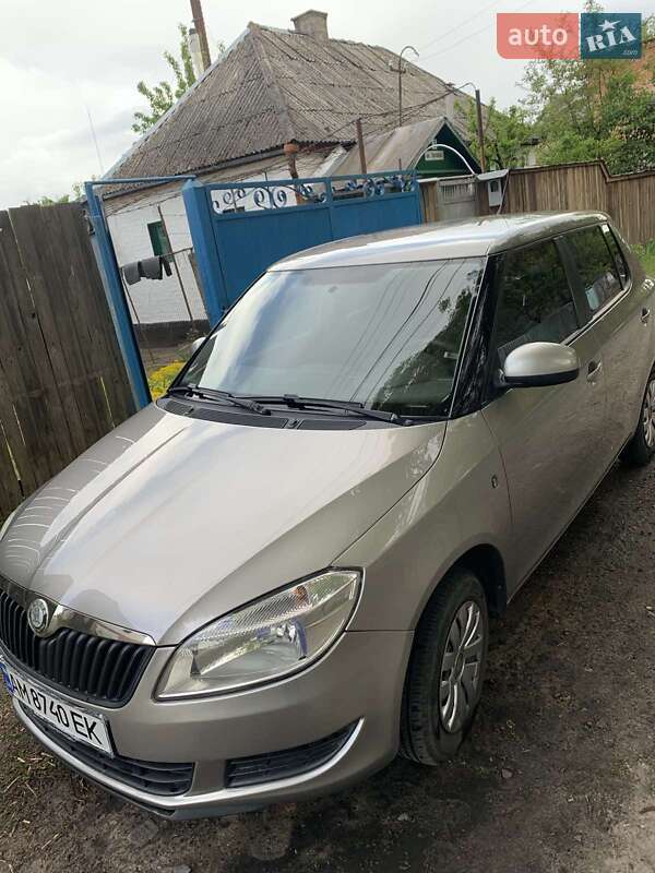 Хетчбек Skoda Fabia 2010 в Радомишлі