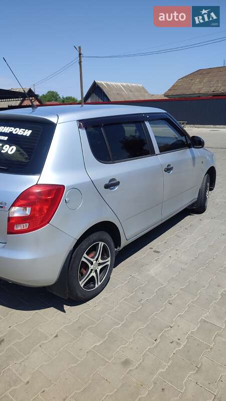 Хэтчбек Skoda Fabia 2009 в Полонном