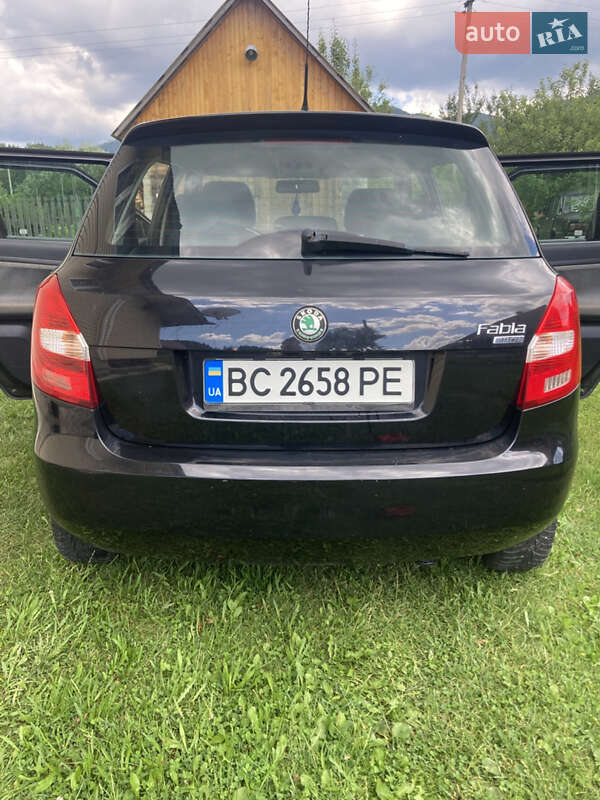 Хэтчбек Skoda Fabia 2009 в Славском