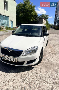Хэтчбек Skoda Fabia 2011 в Львове