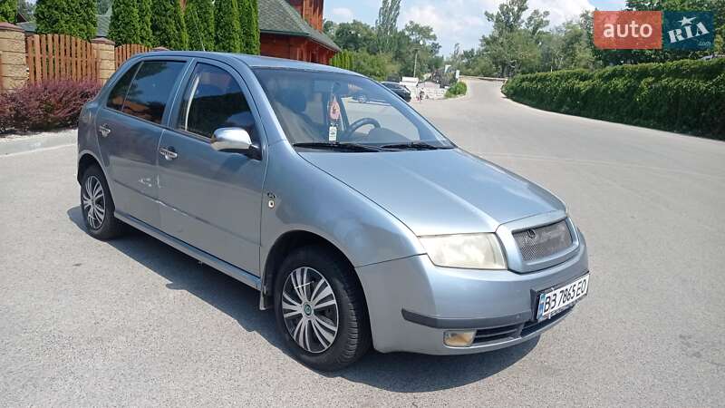 Хэтчбек Skoda Fabia 2002 в Днепре