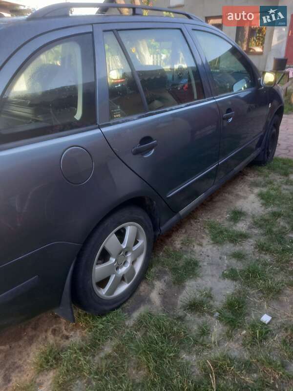 Универсал Skoda Fabia 2004 в Маневичах