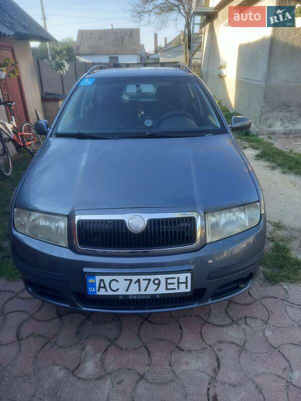 Универсал Skoda Fabia 2004 в Маневичах