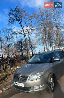 Хэтчбек Skoda Fabia 2014 в Житомире