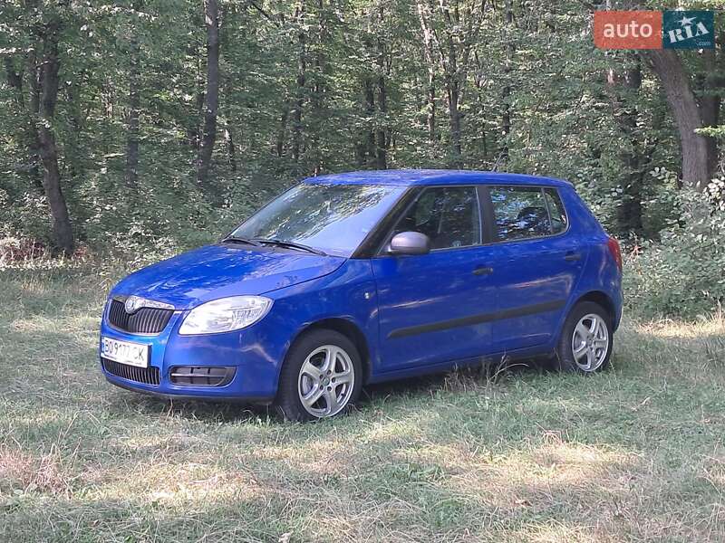 Хэтчбек Skoda Fabia 2008 в Борщеве