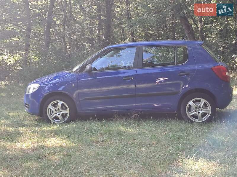 Хэтчбек Skoda Fabia 2008 в Борщеве