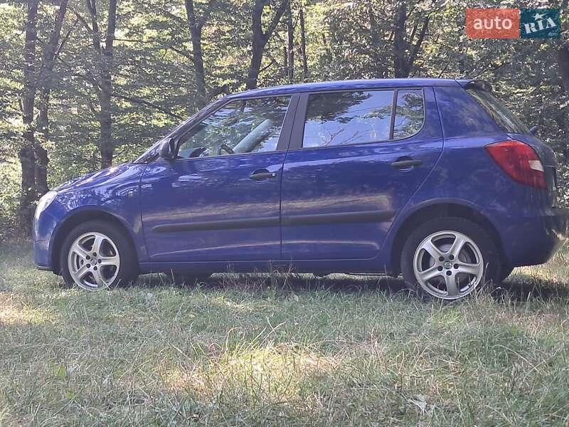 Хэтчбек Skoda Fabia 2008 в Борщеве