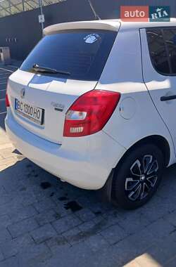 Хэтчбек Skoda Fabia 2009 в Самборе