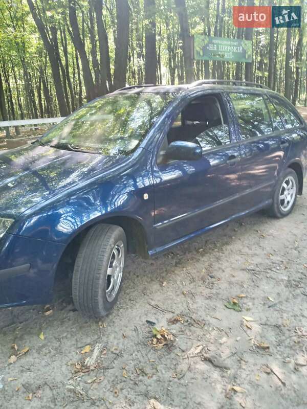 Універсал Skoda Fabia 2006 в Бурштині