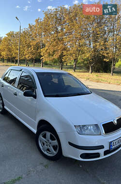 Хэтчбек Skoda Fabia 2007 в Кривом Роге